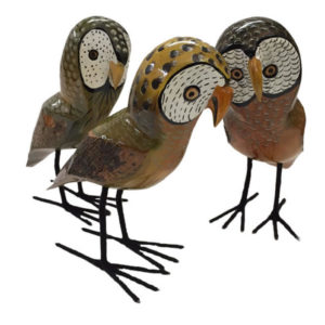 Medium Wood Owl