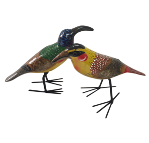 Large Birds