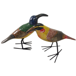 Large Birds